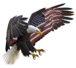 American Eagle Flag Wall Decor Decal. Fixed Price $24.95.