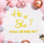 She Gender Reveal Decorations - Large Felt Letters Sign For Baby Shower.... Fixed Price $9.73.