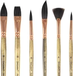 Sable Watercolor Brushes - 6PCS Professional Paint For Artist Round Tip,. Fixed Price $19.81.