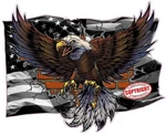 Black American Flag Bald Eagle Brick Wall Decal Sticker. Fixed Price $39.95.