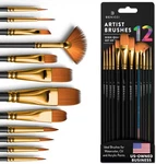 Professional Artist Set 12 - Painting Brushes Kit For Kids, Ad.... Fixed Price $14.90.