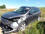 Escape 2014 Door Trim Panel Rear 2146903. Fixed Price $160.94.