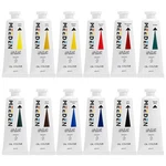 Meeden Artist Oil Paint Set - 12X 60ML Tubes Vibrant Colors For Canvas. Fixed Price $72.34.