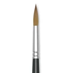 Winsor & Newton Series 7 Kolinsky Sable Brush, Round #8. Fixed Price $212.99.
