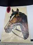 Vintage Nos Meyercord #1503A Brown Horse Full Color Water Decal Sealed 8 X11. Fixed Price $9.95.