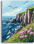 Yomiie 5D Seagull Diamond Painting Kits For Adults Diy Canvas 30X40CM Wall Decor. Fixed Price $12.90.