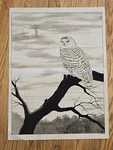 Tri-chem 7198 Night Watch Owl 18X24" Picture To Paint Instruction Nos 1984 Usa. Fixed Price $15.00.