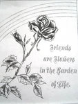 Tri Chem Rainbow Rose Friends Garden Of Life Motto Sampler Pre Shaded 2246. Fixed Price $9.50.