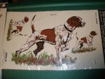 New Vintage 1981 Decorcal Hand Painted Sports & Wildlife Pointer Dog Decal W15. Fixed Price $16.99.