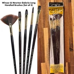 Winsor & Newton Galeria Long Handled Brushes (set Of 5). Fixed Price $45.00.