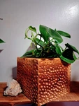 Artistic Wood Planter Box Hand Crafted. Fixed Price $20.00.