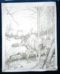 Tri Chem / Artex Moose The Wild To Paint 0493 Picture 16X20 Liquid Embroidery. Fixed Price $34.50.