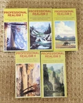Professional Realism By Quinten Gregory Vhs 5-TAPE Set How Artists Paint..... Fixed Price $19.99.