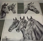 * 8227 Horses Heads Set Of 3 Picture Paint. Fixed Price $15.00.