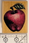 Rubber Stampede Apple Wood Mounted Stamp. 2.25 X 2.875 (image Size 2.625). Fixed Price $5.70.