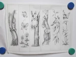 Vintage Tri Chem Picture To Paint Felt Usa Poster #8033 Owl Squirrel Butterfly. Fixed Price $17.95.
