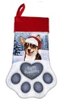 Christmas Stocking - Shorthaired Chocolate Tri Chihuahua. Fixed Price $29.99.