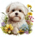 Diamond Painting Kits For Adults, 5D Diy Art Beginners Round Fu. Fixed Price $12.99.