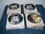 Princeton Gallery Cubs Of The Big Cats* Collector Plates ( Set 4 ) W/box. Fixed Price $69.99.