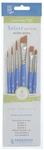 Princeton Brush Set 6/PKG-SELECT 22. Fixed Price $22.25.