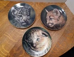 Set Of 3 Vintage Princeton Gallery Cubs The Big Cats Collectors Plates. Fixed Price $28.00.