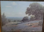 "royal Blue" By Texas Artist Royce Roberts Bluebonnet Hill Country. Fixed Price $99.00.